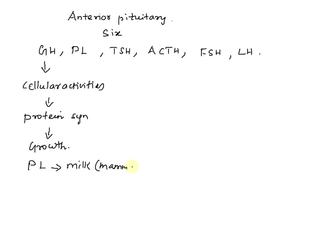 SOLVED Most of the hormones produced by the anterior pituitary perform