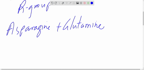 which-of-the-following-amino-acids-can-form-hydrogen-bonds-with-their-side-r-groups-asparagine-glutamine-all-of-these-aspartic-acid-24916