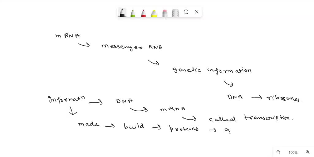 solved-what-happens-on-a-cellular-level-once-you-receive-an-mrna-covid