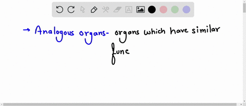 a-whale-fin-containing-bones-and-a-fish-fin-no-bones-are-an-example-of-a-_________-structure-a-homologous-b-analogous-c-vestigial-d-all-of-the-above-structure