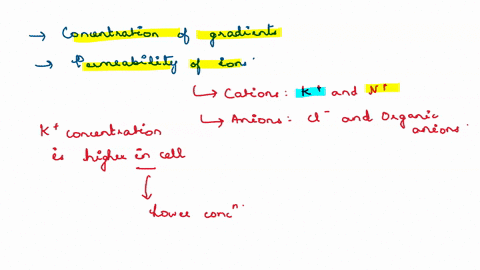 describe-the-ionic-basis-of-the-resting-membrane-potential-and-show-with-evidence-how-changes-in-membrane-permeability-are-responsible-for-changes-in-membrane-potential-during-the-action-pot-28175