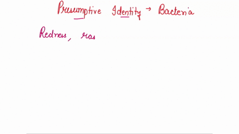 q004-from-the-collective-lab-results-what-is-the-presumptive-identity-of-the-bacteria-63006