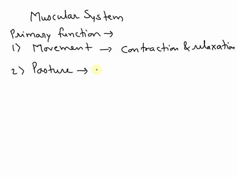 which-is-a-primary-function-of-the-muscular-system-58826