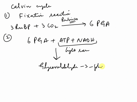 hardrmn-spacima-hhea-ul-heraua-2-aele-qn-eecurty-updeles-fixas-and-improvements-choose-check-for-updates_-prabaem-thc-figure-below-illustrates-wha-hippens-durire-culin-cch-phataxnthesl-usain-89131