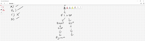 which-example-summarizes-the-net-final-products-of-glycolysis-four-molecules-of-atp-four-molecules-of-nadh-and-six-molecules-of-co2-two-molecules-of-acetyl-coa-two-molecules-of-pyruvate-and-37335