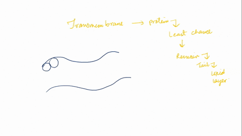 in-a-transmembrane-protein-which-of-the-following-amino-acid-residues-is-least-likely-to-be-located-in-the-portion-of-the-protein-that-is-embedded-in-the-membrane-and-interacting-with-phosph-38076