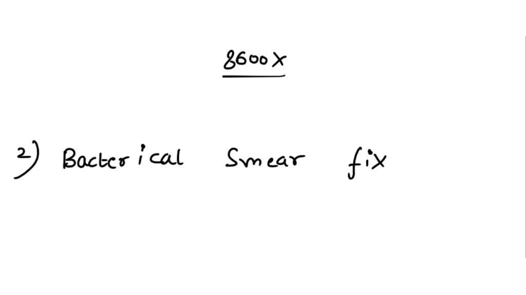 SOLVED 4.Do all three bacterial specimens appear the same? If not,how