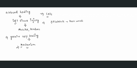 in-the-following-list-number-the-steps-of-wound-healing-after-a-soft-tissue-injury-___________-inflammation-occurs-in-the-area-as-tissue-repair-begins-___________-mast-cells-release-histamin-47248