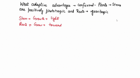 what-adaptive-advantages-are-conferred-on-a-plant-whose-stems-are-positively-phototropic-and-whose-2-04136