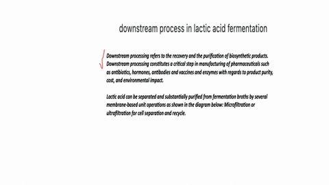 proses-downstream-pada-fermentasi-asam-laktat