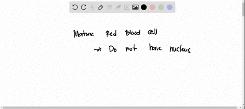 15-when-red-blood-cells-mature-most-of-the-organelles-are-removed-to-make-space-for-as-many-hemoglobin-molecules-as-possible-the-removal-of-the-nucleus-would-also-result-in-the-removal-of-th-89546