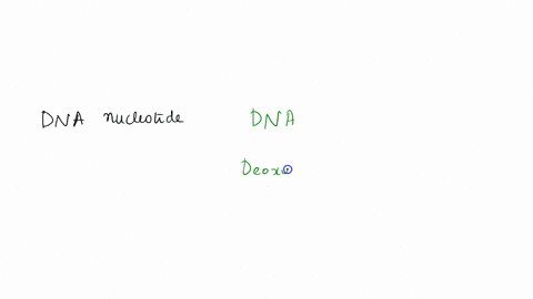 a-dna-nucleotide-can-include-the-nitrogenous-base-uracil-composed-of-a-nitrogenous-base-a-sugar-and-a-phosphorous-unit-contains-proteins-and-amino-acids-is-the-same-thing-as-an-rna-molecule_-35851