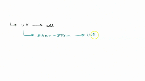 question-what-kind-oi-damage-can-ultraviolet-uv-radiation-do-at-the-cell-level-cell-wall-damage-mitochondrial-damage-dna-damage-endoplasmic-reticulum-damage-question-2-wha-kind-oi-large-prob-35248