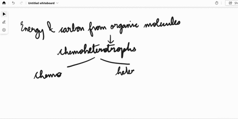 organisms-that-derive-their-energy-and-carbon-from-organic-molecules-are-called-a-photoautotrophs-b-chemoheterotrophs-c-photoheterotrophs-d-chemoautotrophs-e-chemolithotrophs-the-lac-operon-44823
