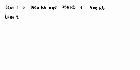 9-the-rate-of-dna-migration-through-an-agarose-gel-is-related-to-the-length-of-the-dna-fragments-shorter-fragments-migrate-faster-than-longer-ones-to-determine-fragment-lengths-of-unknowns-w-31168