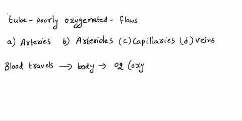 please-help-any-unnecessary-answers-will-be-reported-thanks-what-do-we-call-the-tube-like-structure-where-poorly-oxygenated-blood-flows-through-arteries-alterieles-coplikarles-veins-49577