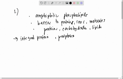 1describe-in-words-the-overall-structure-of-a-lipid-bilayer-2what-are-the-properties-ie-characteristicsof-the-lipid-bilayerof-a-cell-that-make-it-impermeable-to-ions-and-most-molecules-3desc-23758