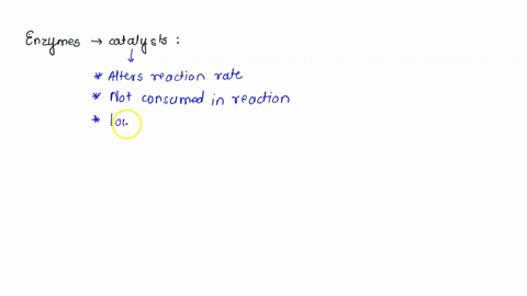 enzymes-are-potent-catalysts-because-they-a-are-consumed-in-the-reactions-they-catalyze_-b-are-very-specific-and-can-prevent-the-conversion-of-products-back-to-substrates-drive-reactions-to-35437