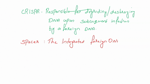 8-match-the-following-components-of-the-crisprcas9-bacterial-immune-system-with-the-appropriate-description-each-answer-is-used-only-once-a-crispr-b-spacer-c-pam-d-crrna-e-cas9-f-protospacer-41537