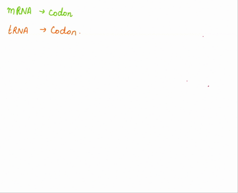 second-letter-uuu-phenyl-uuc-alanine-uua-uug-leucine-ucu-ucc-serine-uca-ucg-uau-ugu-u-uac-tyrosine-ugc-cysteine-c-uaa-stop-codon-uga-stop-codon-a-uag-stop-codon-ugg-tryptophan-g-cau-cgu-u-cu-34137