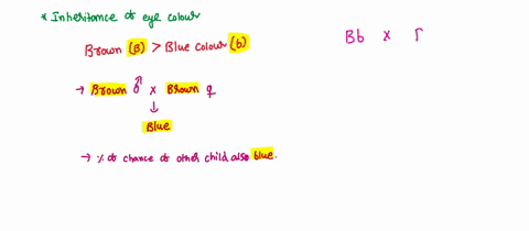 suppose-the-brown-allele-for-eye-color-b-is-completely-dominant-over-the-blue-allele-for-eye-color-b-if-two-brown-eyed-parents-produce-a-child-that-is-blue-eyed-what-is-the-percentage-that-t-21447