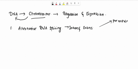 question-4-match-each-of-the-following-eukaryotic-gene-regulatory-mechanisms-or-component-to-its-best-description-histone-modification-that-causes-chromatin-a-alternative-rna-splicing-to-loo-86379