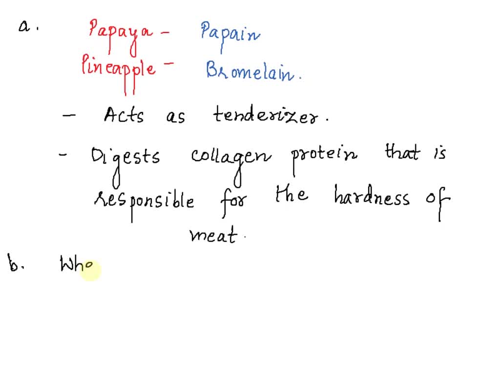 SOLVED 74. Papaya and pineapple fruits contain proteolytic enzymes