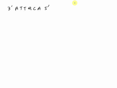 if-one-strand-of-a-dna-molecule-has-the-sequence-of-bases-3attgca-5-the-other-complementary-strand-would-have-the-sequence-select-one-a-3taacgts-b-5uaacgub-c-3uaacgus-d5taacgt3-07997