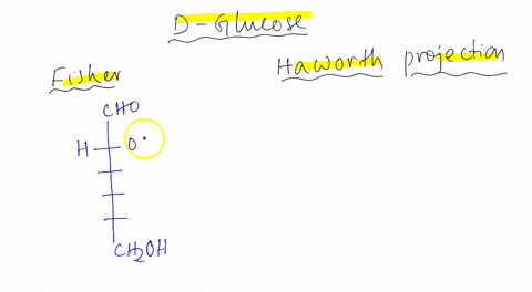 draw-the-fischer-and-haworth-projection-of-the-following-1-d-glucose-2-d-mannose-3-d-galactose-4-d-pscicose-5-d-fructose-6-d-sucrose-05459
