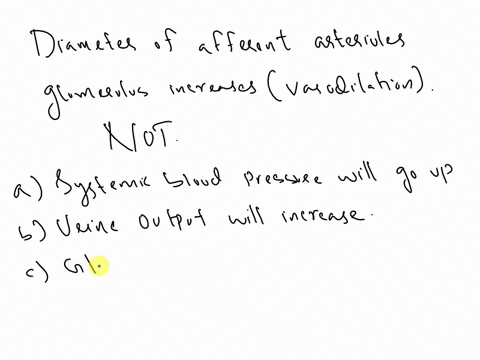 if-the-diameter-of-the-afferent-arterioles-leading-to-the-glomerulus-increases-vasodilationwhich-of-the-following-is-not-likely-to-occur-oa-systemic-blood-pressure-will-go-up-burine-output-w-44398