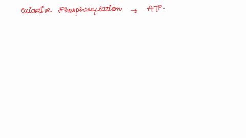 which-of-the-following-generates-the-largest-amount-of-atp-a-glycolysis-b-the-citric-acid-cycle-c-gluconeogenesis-d-oxidative-phosphorylation-fats-ingested-from-food-are-broken-down-in-order-65508