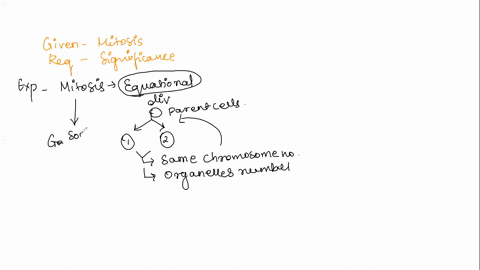 mitosis-is-used-for-which-of-the-following-select-all-that-apply-growth-tissue-repair-gamete-production-production-of-eggs-and-sperm-fertilization-22458