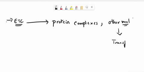 the-etc-in-cellular-respiration-transfer-electrons-from-___-to-___-63472