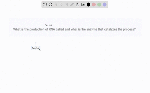 what-is-the-production-of-rna-called-and-what-is-the-enzyme-that-catalyzes-the-process-29289