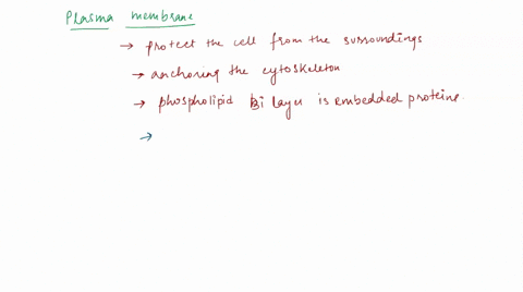 describe-the-structure-and-function-of-the-plasma-membrane-discuss-the-most-commonly-used-model-to-explain-the-organization-of-the-plasma-membrane-what-are-the-two-main-types-of-membrane-pro-78164