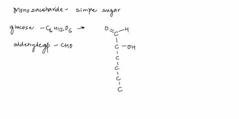 question-8-monosaccharides-are-polyhydroxy-acids-and-bases-o-polyhydroxy-aldehydes-polyhydroxy-aldehydes-and-ketones-opolyhydroxy-ketones-o-polyhydroxy-bases-o-polyhydroxy-acids-53307