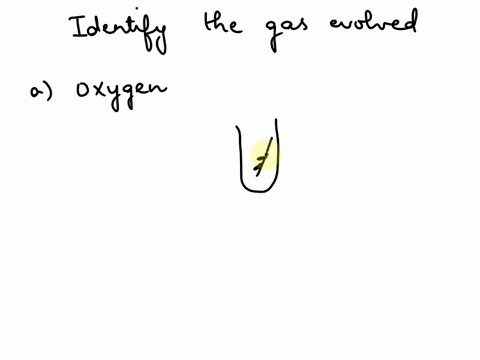 identify-the-gas-that-is-evolved-as-gas-bubbles-in-the-test-tube-a-oxygen-b-carbon-dioxide-c-nitrogen-d-hydrogen-94282
