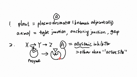 q24-which-of-the-following-are-found-in-plants-a-plasmodesmata-c-gap-junctions-b-tight-junctions-d-anchoring-junctions-025-a-series-of-enzymes-catalyze-the-reaction-x-y-z-a-product-a-binds-to-the-enzy