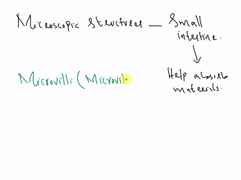 what-microscopic-structures-are-in-the-small-intestine-that-help-absorb-materials-55135