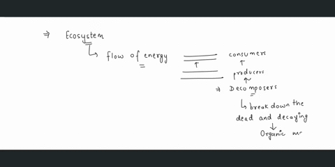 what-would-happen-to-the-energy-flow-through-an-ecosystem-of-the-decomposers-were-eliminated-54881