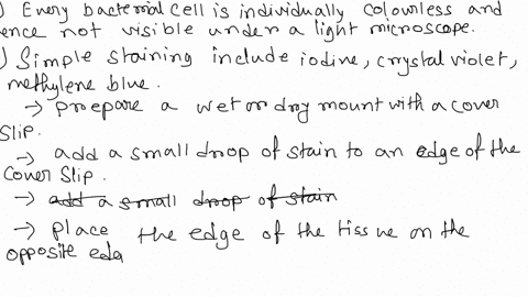 3-explain-what-the-purpose-of-staining-bacteria-how-do-vou-prepare-glass-slide-for-staining-what-is-the-difference-between-positive-stain-and-negative-stain-an-organism-after-gram-staining-i-94526