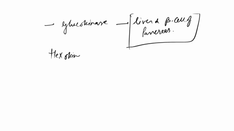 what-is-the-significance-of-the-fact-that-glucokinase-is-found-in-liver-and-cells-of-the-pancreas-and-that-hexokinase-is-found-in-most-other-cells-a-the-role-of-hexokinase-is-to-provide-gluc-91654