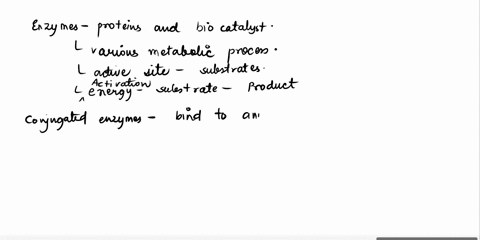 vmax-for-an-enzyme-is-100mol-of-product-per-minute-if-each-assay-used-01ml-of-an-enzyme-solution-that-had-a-concentration-of-02mgml-what-would-be-the-turnover-number-if-the-enzyme-had-a-mole-82455
