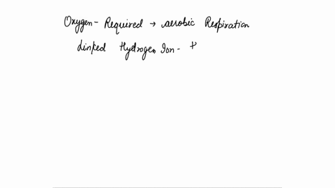 how-many-atp-molecules-are-produced-in-aerobic-respiration-how-many-atp-molecules-are-produced-during-fermentation-and-glycolysis-03113