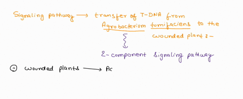 how-many-cycles-of-the-citric-acid-cycle-are-required-to-release-the-carbons-that-originate-from-the-acetyl-coa-in-the-first-cycle-as-co2-please-draw-them-out-thank-you-53555