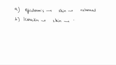 which-part-of-your-integumentary-system-is-found-on-the-outside-of-your-body-a-epidermis-b-keratin-c-dermis-d-melanin-93489