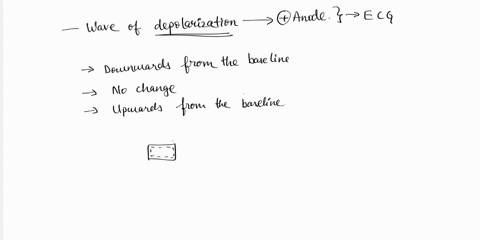 when-a-wave-of-depolarization-travels-toward-a-positive-electrode-how-is-this-represented-on-an-ecg-tracing-1-pts-when-a-wave-of-repolarization-travels-toward-a-1-pts-negative-electrode-how-06142