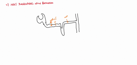 during-urine-formation-it-is-important-for-sodium-and-chloride-ions-to-be-reabsorbed-into-the-bloodstream-so-that-needed-amino-acids-will-be-reabsorbed-urea-can-be-secreted-the-ph-of-the-blo-40636