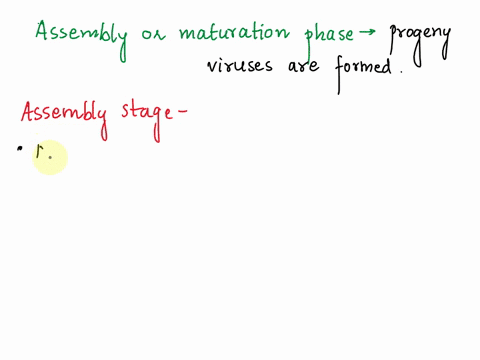 progeny-viruses-are-madeformed-during-which-stage-of-the-viral-life-cycle-48538