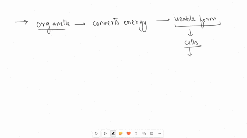 which-organelle-converts-energy-to-a-usable-form-08548